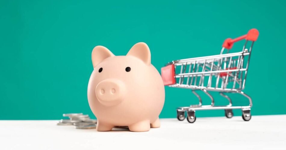 Picture of piggy bank and shopping cart